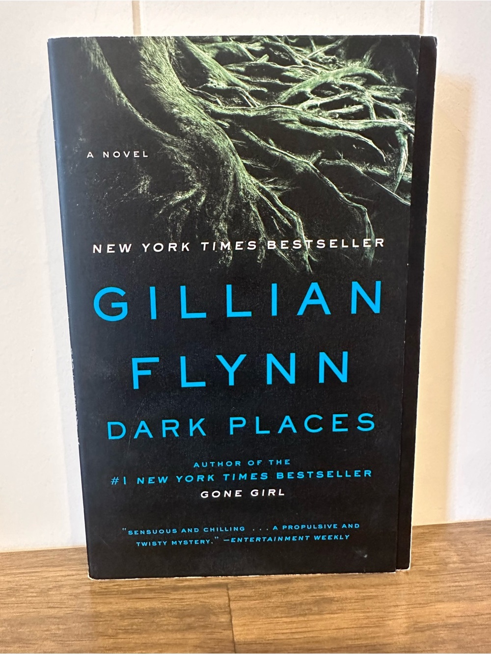 Dark Places by Gillian Flynn Paperback Thriller